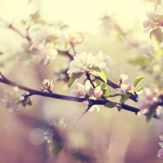 Jarný pobytový balíček 6.4.-26.6.2026