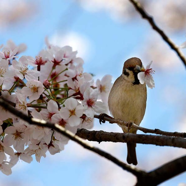 Pokojná dovolenka bez víkendového​ stresu